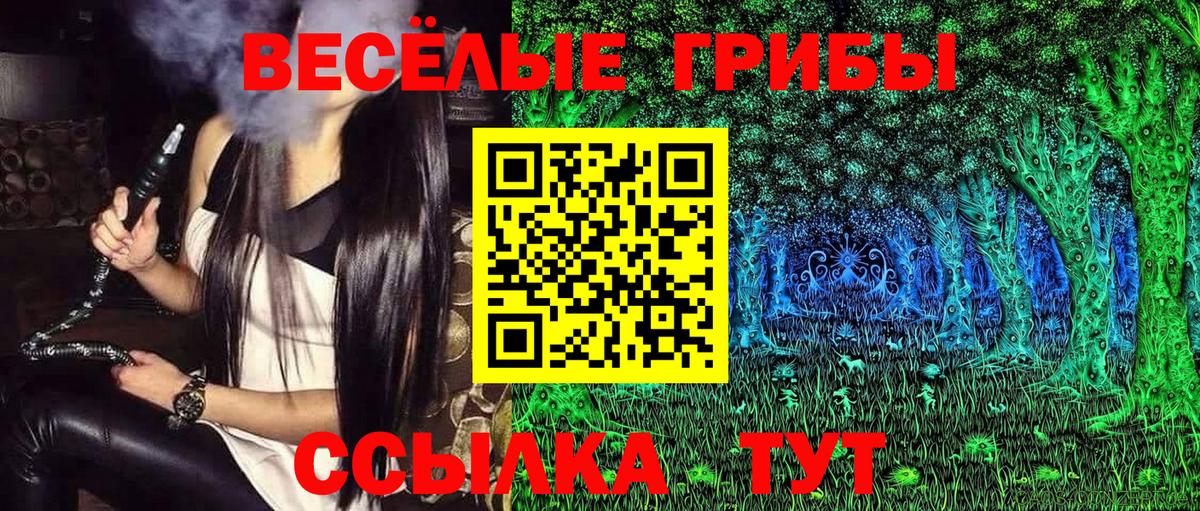 где купить наркоту  Вход с VPN  Дивногорск  Галлюциногенные грибы Cubensis  Галлюциногенные грибы Cubensis 